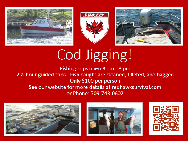 Download Cod Jigging Poster