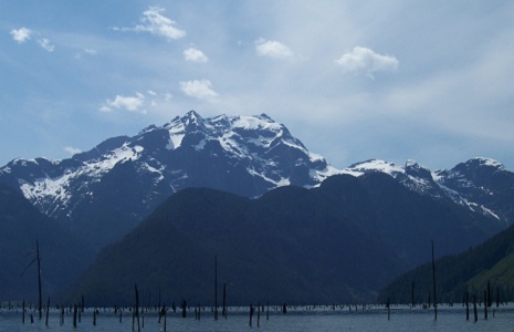 Wilderness & Marine Survival
