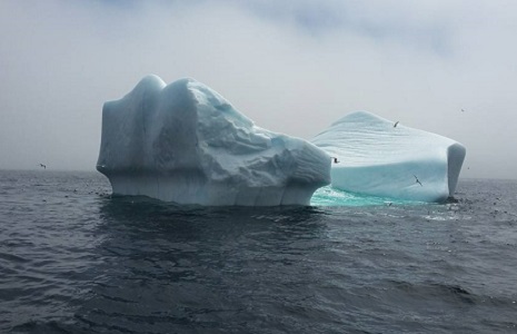 Land & Sea Learn/Travel Expeditions