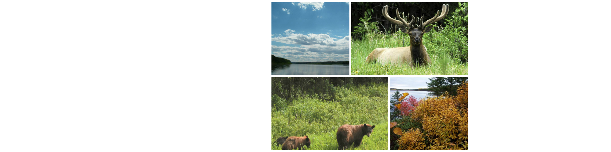 RedHawk Wilderness & Marine Survival Courses