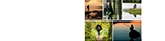 RedHawk Wilderness Therapy for Women and Youth